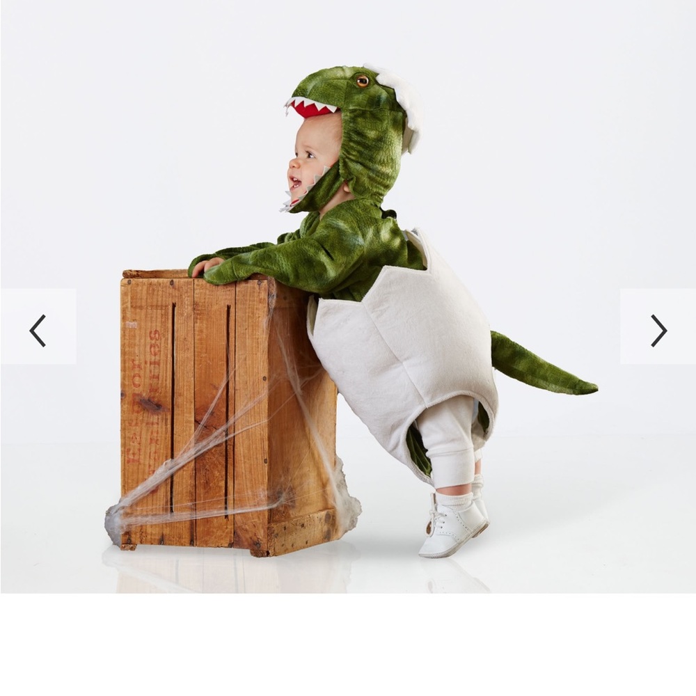 Pottery Barn Kids - Baby T-Rex Egg - 6-12 Months - Green